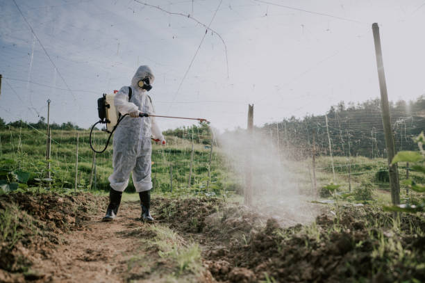 Pest Control Cost in East Whittier, CA
