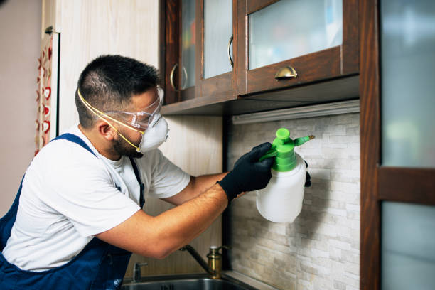 Best Flea Control Services  in East Whittier, CA