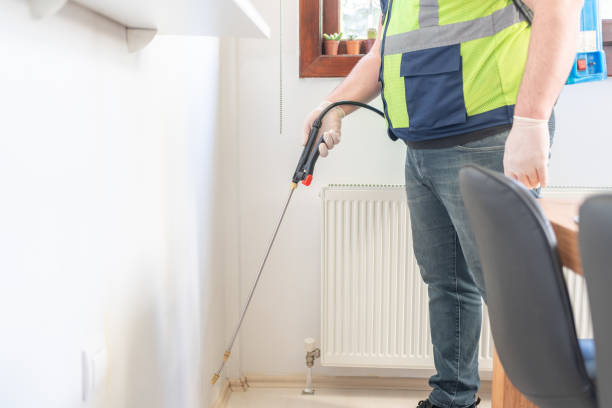 Best Affordable Pest Control Services  in East Whittier, CA