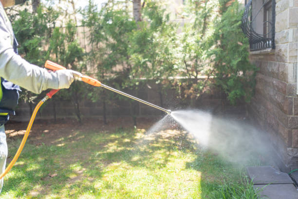 Pest Prevention Services in East Whittier, CA