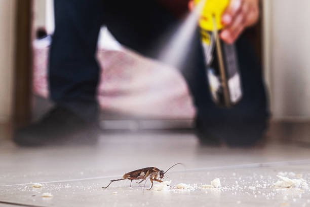 Best Pest Prevention Services  in East Whittier, CA