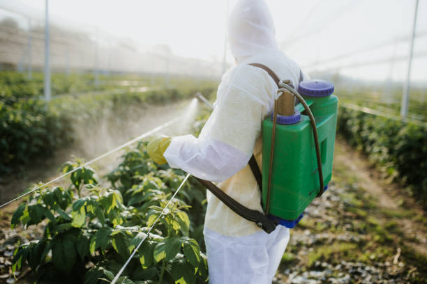 Best Pest Removal Services  in East Whittier, CA